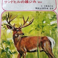 (古本)シートン動物記 ８