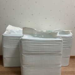 山善(YAMAZEN) 厚型 ペットシーツ 炭入り消臭の画像