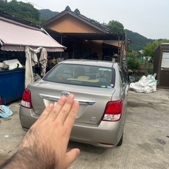 カローラAXIOの画像
