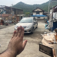 カローラAXIOの画像