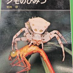 (古本)クモのひみつ