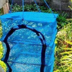 干し籠・ドライフルーツやドライベジタブルを♪