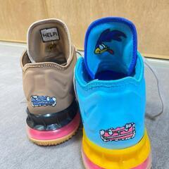NIKE レブロン18 スニーカー

28cmの画像