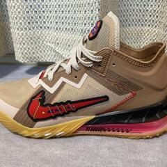 NIKE レブロン18 スニーカー

28cmの画像