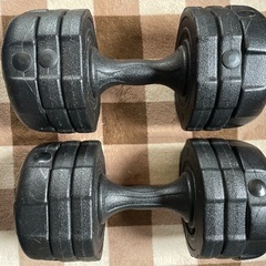 アーミーダンベル 10kg 2個セット ブラック の画像