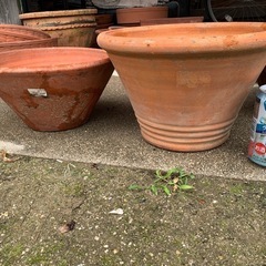 12.陶器鉢