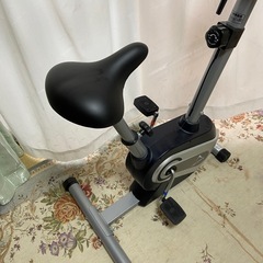 （お引き取り限定）アルインコ エアロマグネティックバイクＡＦ6200Eの画像