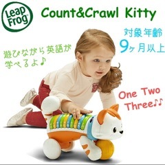 猫のおもちゃ　知恵知育英語の画像