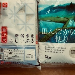 お早目に！お米10キロ