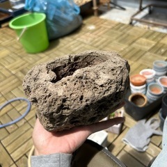 オシャレな鉢