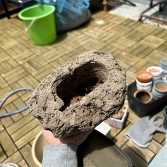 オシャレな鉢の画像