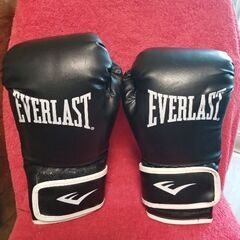 ボクシング　グローブ　エバーラスト　Everlast