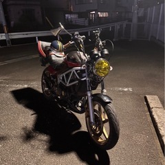 vtr250