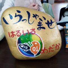 🌸はるいろめだか🌸6月1日🌸桜国屋🌸大人気500円セットも🉐10...
