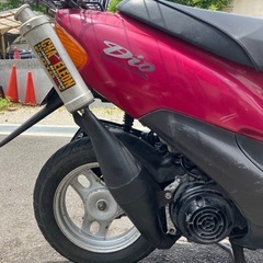 カメレオンファクトリーの画像