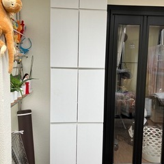 扉付きキャビネット　薄型　壁面