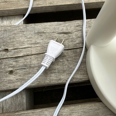 【お譲り先決定】の画像