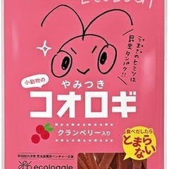 新品 やみつきコオロギ  クランベリー 人気 おやつ タンパク質...
