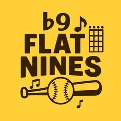 フラットナインズ⚾️【随時】草野球メンバー募集‼️