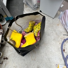 1歳〜2歳女児用の靴の画像