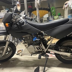 xr50モタード（ボアアップ）80ccの画像