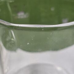 グラス付きカップホルダー　ポトスタカンニクの画像