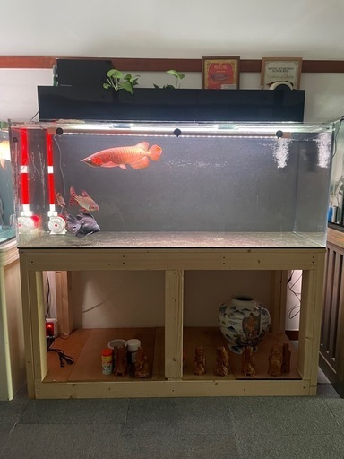 150.60.60セット水槽