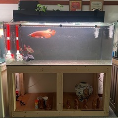 150.60.60セット水槽