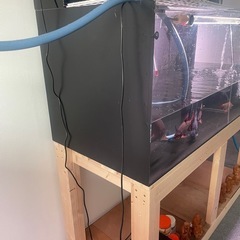 150.60.60セット水槽の画像