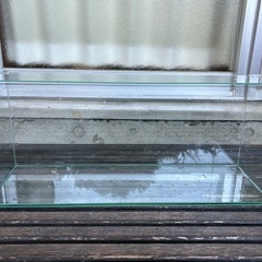 フレームレス水槽