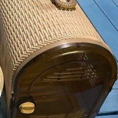 リッチェル　ペット　キャリーケース