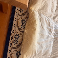 羽毛布団
の画像