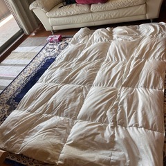 羽毛布団
の画像