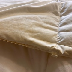 羽毛布団
の画像