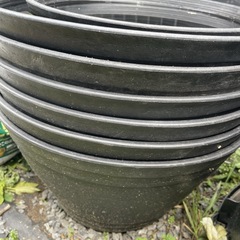 軽量　睡蓮鉢　セット