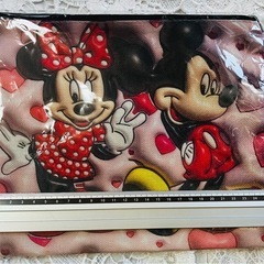 【新品未使用】ミッキーとミニーのポーチの画像