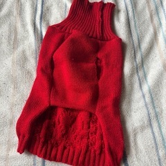 ペットのお洋服の画像