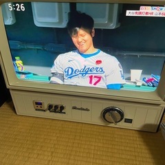 ドウシシャ レトロ 液晶 テレビ
