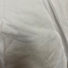 メンズ　LL チャンピオンの画像