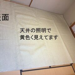 ★★★　カーペット　江戸間６畳用（261×352ｃｍ）　中古　★★★