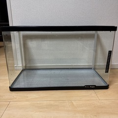 曲げガラス60センチ水槽