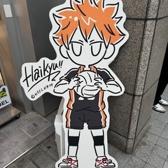 【急募】バレーボールの募集について