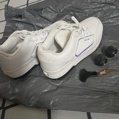 二輪ローラーシューズの画像