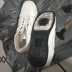 二輪ローラーシューズの画像