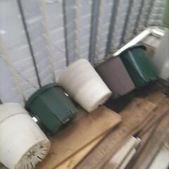 あげます　トマト　鉢　植木鉢　家庭菜園