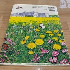 絵本⭐︎野の花道ばたの草の画像