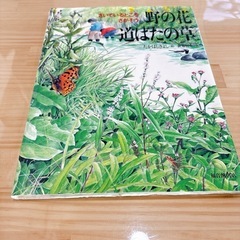 絵本⭐︎野の花道ばたの草