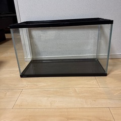 60センチガラス水槽