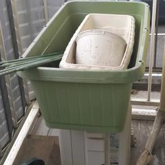 トマト　家庭菜園　ガーデニング　鉢
