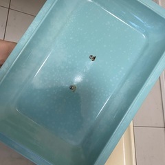 ミニホットプレートの画像